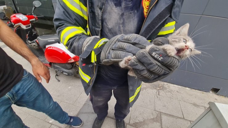 Motora giren yavru kedi, 2 saatte çıkarılabildi