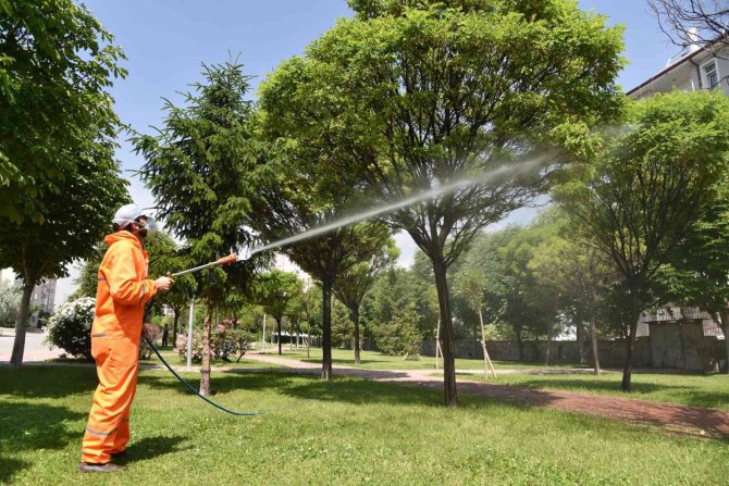 Selçuklu’da haşerelere karşı önlem alınıyor