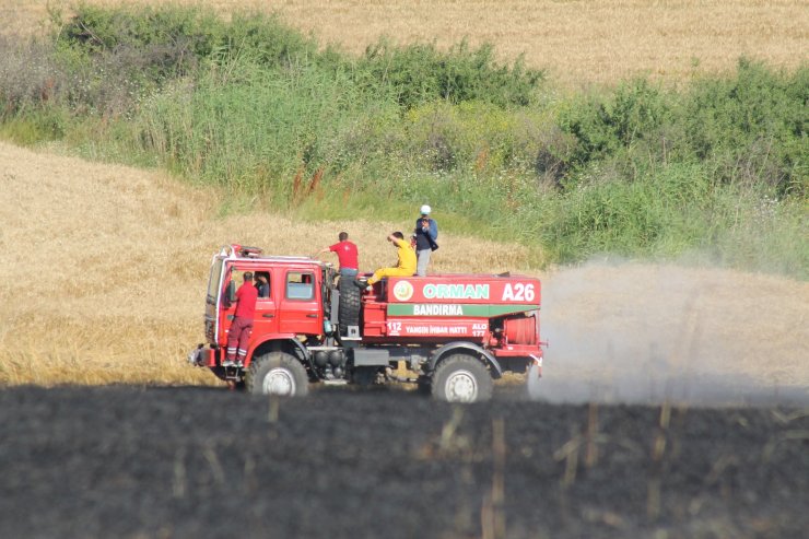 200 dekar buğday ekili alan kül oldu