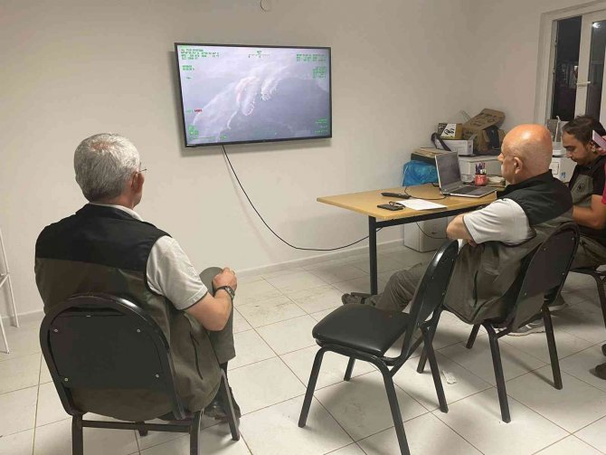 Bakan Kirişci'den Marmaris açıklaması! Yangın söndürme çalışmaları an itibariyle başladı