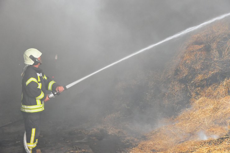 Entegre tesiste çıkan yangında 350 ton saman küle döndü