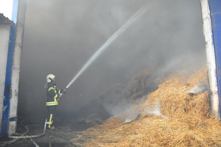 Entegre tesiste çıkan yangında 350 ton saman küle döndü