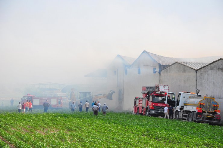Entegre tesiste çıkan yangında 350 ton saman küle döndü
