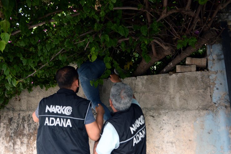 Eşi polisleri oyalarken, çatıdaki Hint kenevirlerini söktü