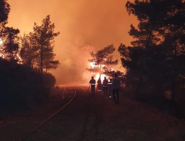 Marmaris'te orman yangını
