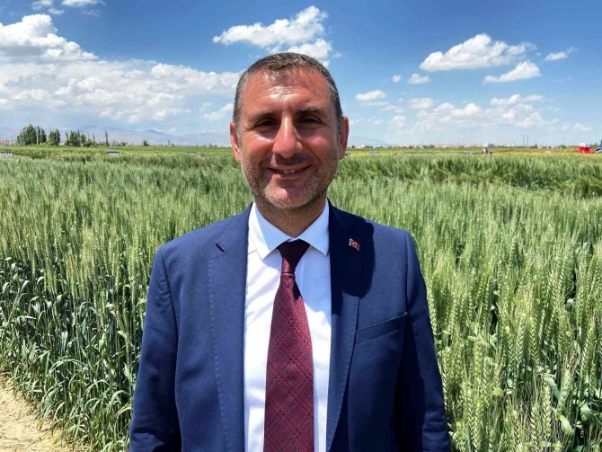 Tahıl ambarı Konya, tohum üretim merkezi oldu