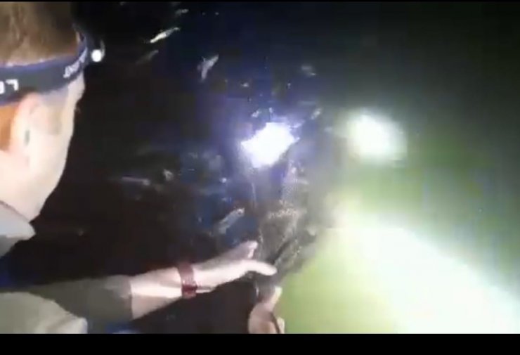 Van'da kaçak avlanan 4,5 ton inci kefali ele geçirildi