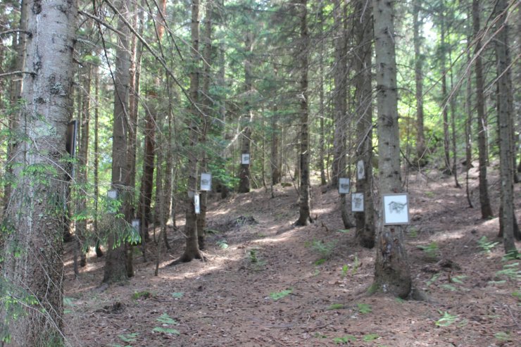 Yayla evlerini resmetti, ormanda sergiledi
