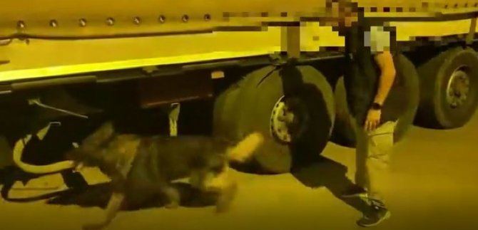 5 bin 300 paket kaçak sigara ele geçirildi