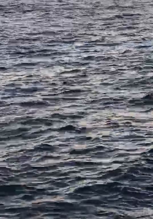 Denizin ortasında dakikalarca yaşam savaşı verdi