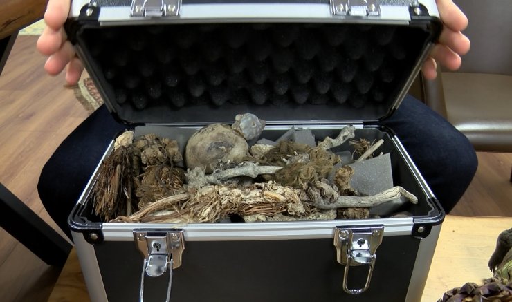 Doğadan topladı, sıra dışı bir koleksiyon elde etti