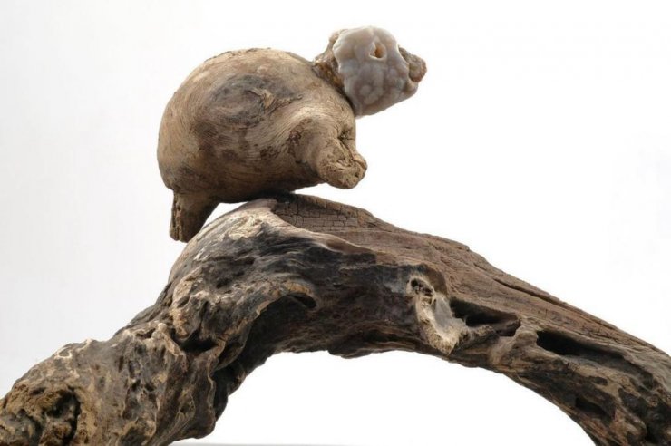 Doğadan topladı, sıra dışı bir koleksiyon elde etti