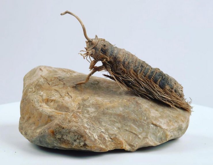 Doğadan topladı, sıra dışı bir koleksiyon elde etti