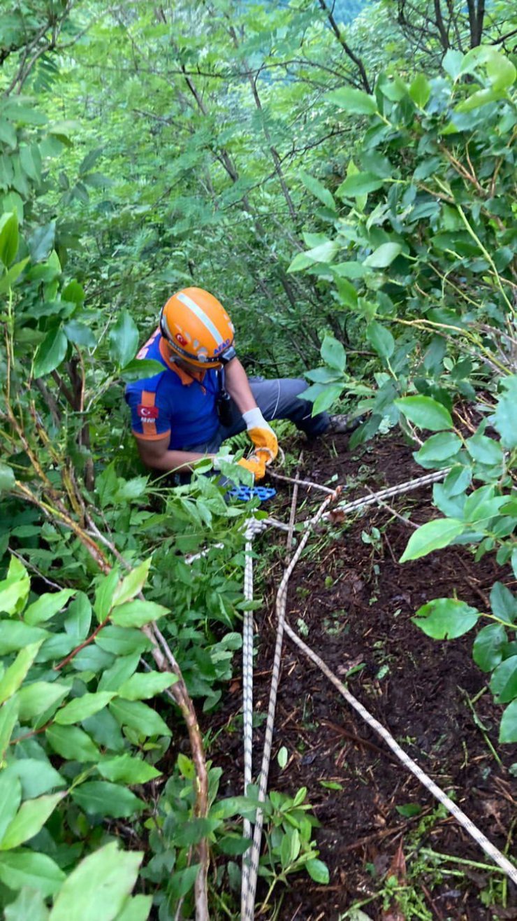 İneğiyle uçurama düşen kadın hayatını kaybetti