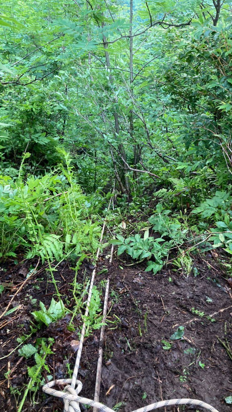 İneğiyle uçurama düşen kadın hayatını kaybetti