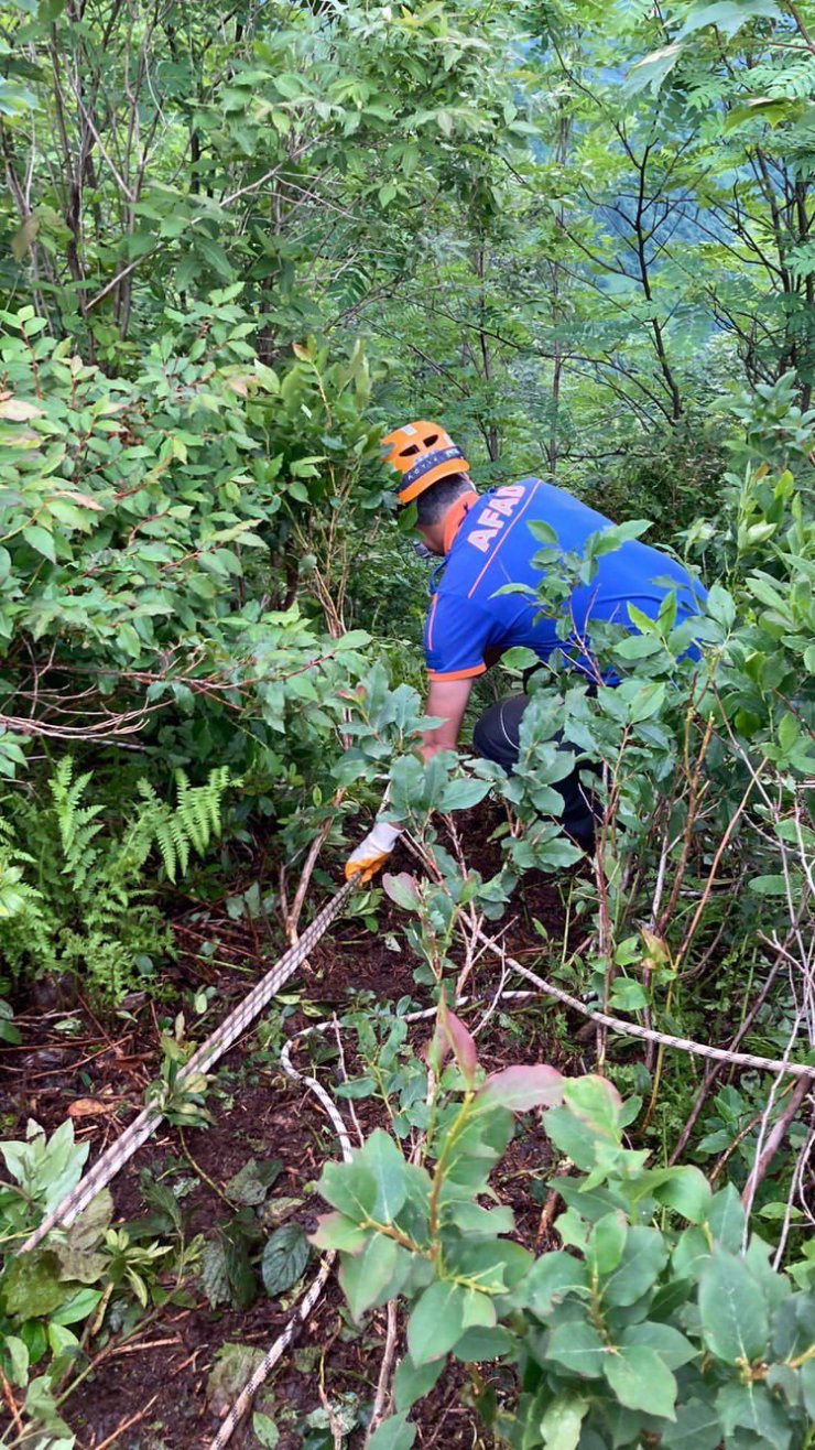 İneğiyle uçurama düşen kadın hayatını kaybetti