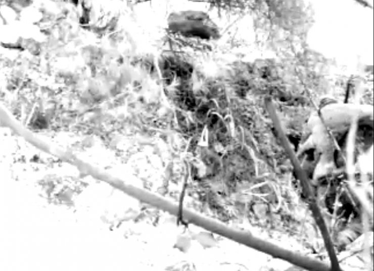 Kaçak avcılara 151 bin TL ceza