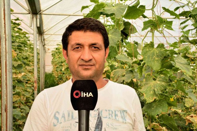 Meslek lisesinde uygulamalı tarım eğitimi