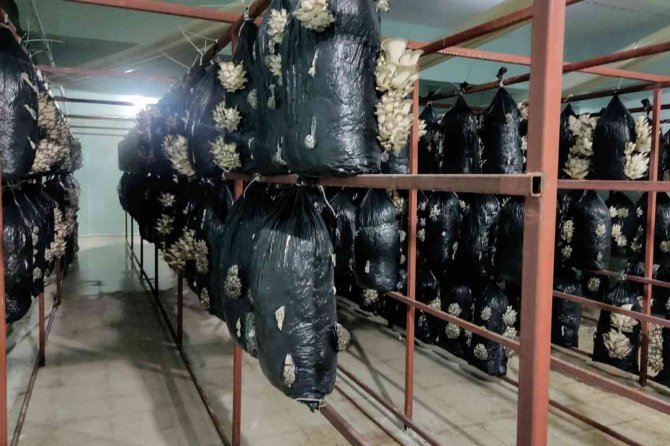 Meslek lisesinde uygulamalı tarım eğitimi