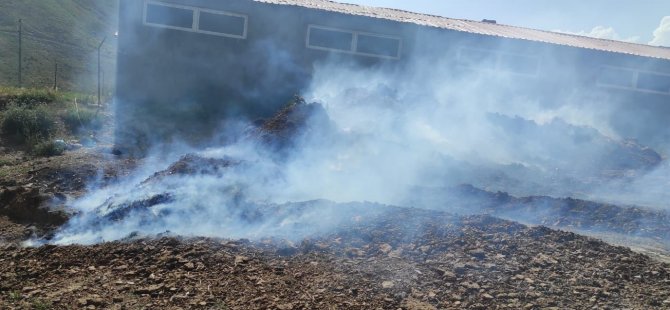 Yangın yerleşim yerlerine sıçramadan söndürüldü