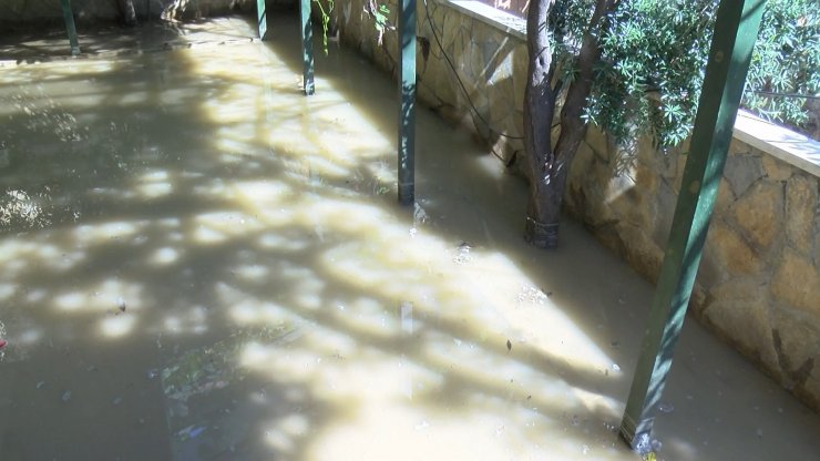 Çöken yola otomobil düştü