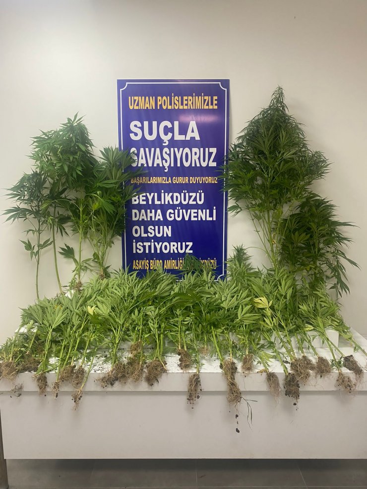 Evinin terasını seraya çevirmiş