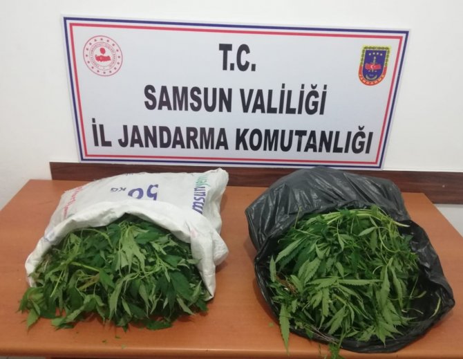 Jandarma tarafından kubar esrar ve tarlada ekili kenevir ele geçirildi
