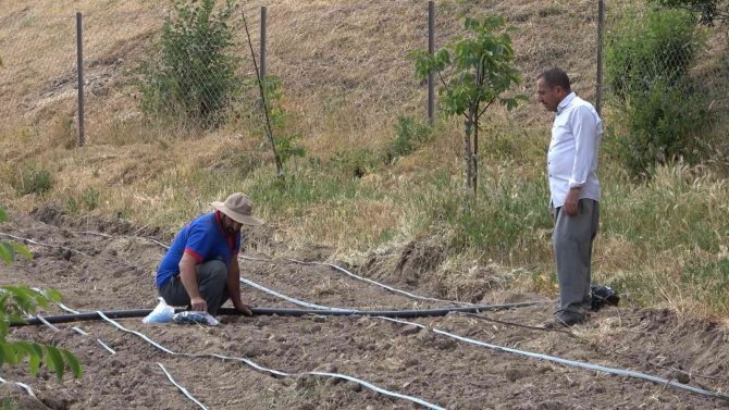 Kavurucu sıcaklıkta üretim mesaisi