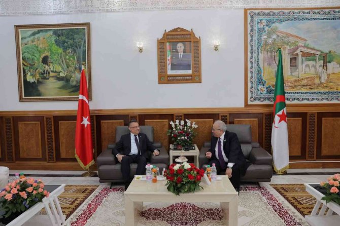 Cumhurbaşkanı Yardımcısı Oktay, Cezayir’de