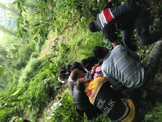 Otomobil ormanlık alana uçtu: 1 yaralı