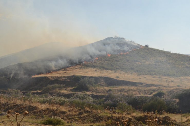105 dönüm orman zarar gördü