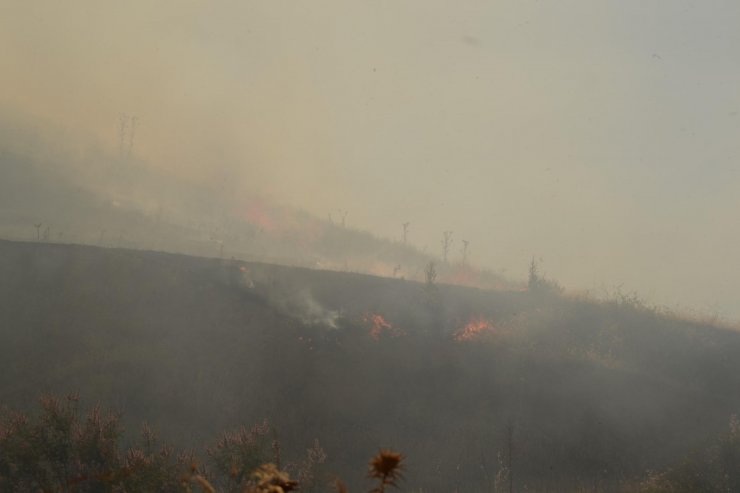 105 dönüm orman zarar gördü