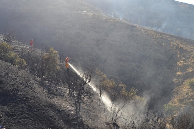 105 dönüm orman zarar gördü