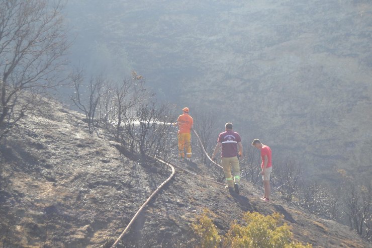 105 dönüm orman zarar gördü