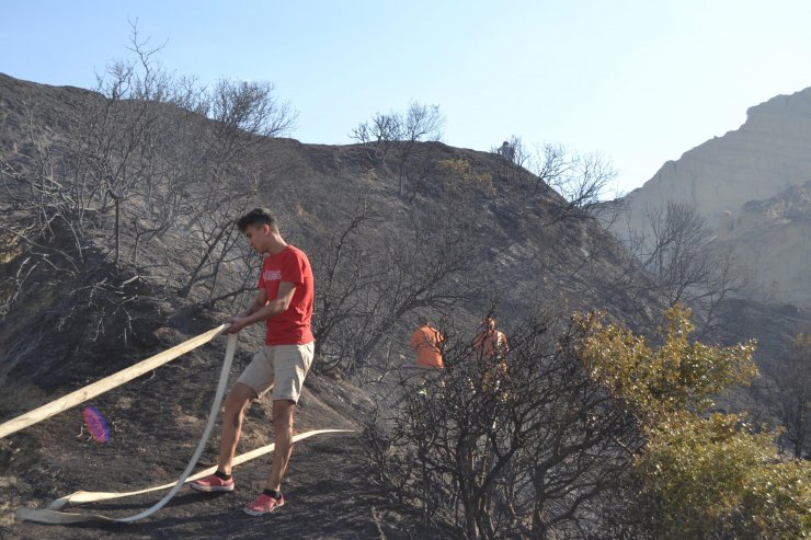 105 dönüm orman zarar gördü