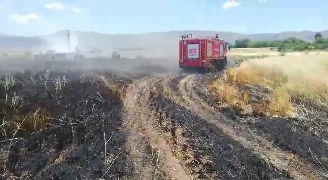 12 dönüm ekili alan kül oldu