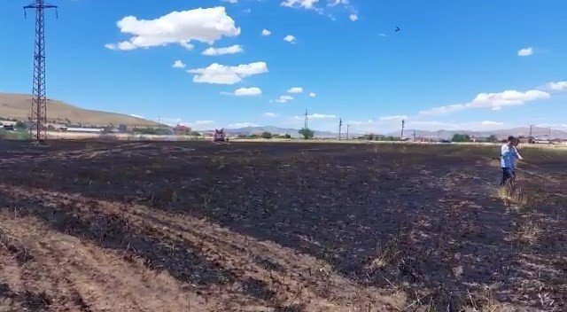 12 dönüm ekili alan kül oldu