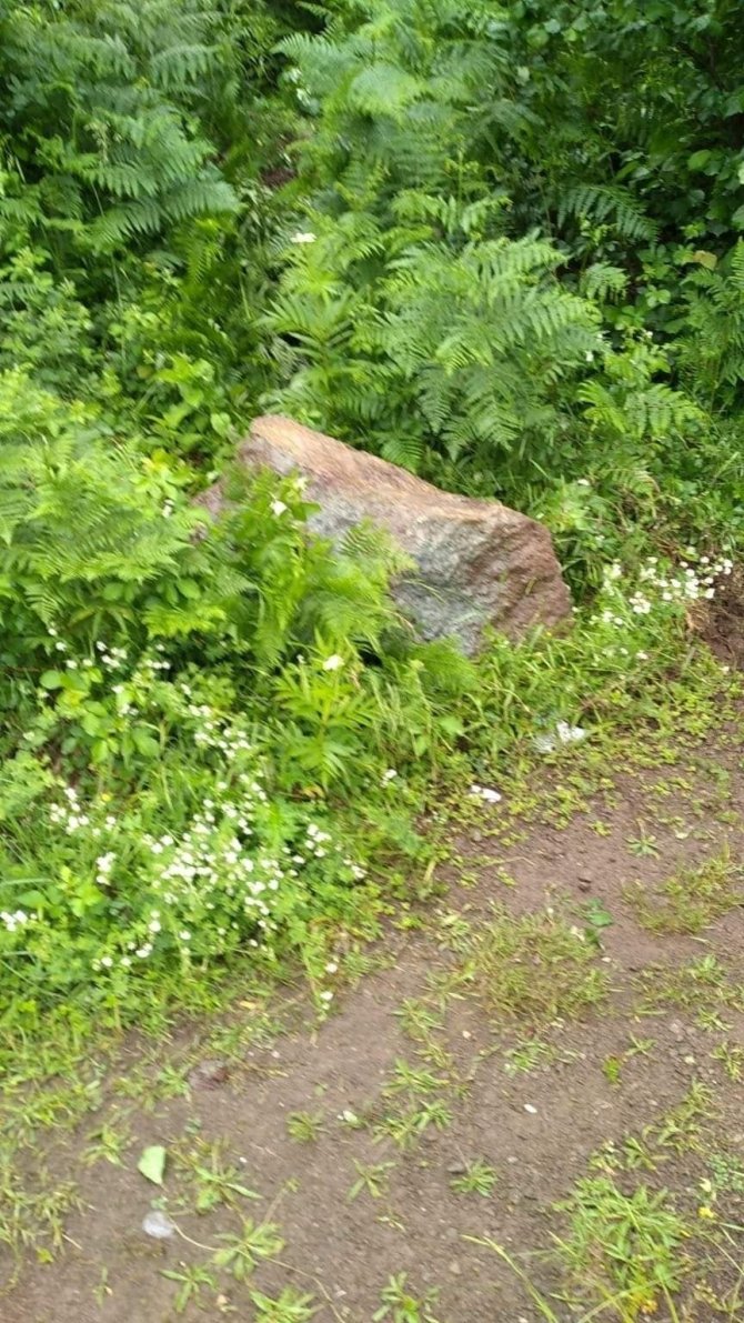 Dev kaya parçası önüne çıkan her şeyi yıkıp geçti