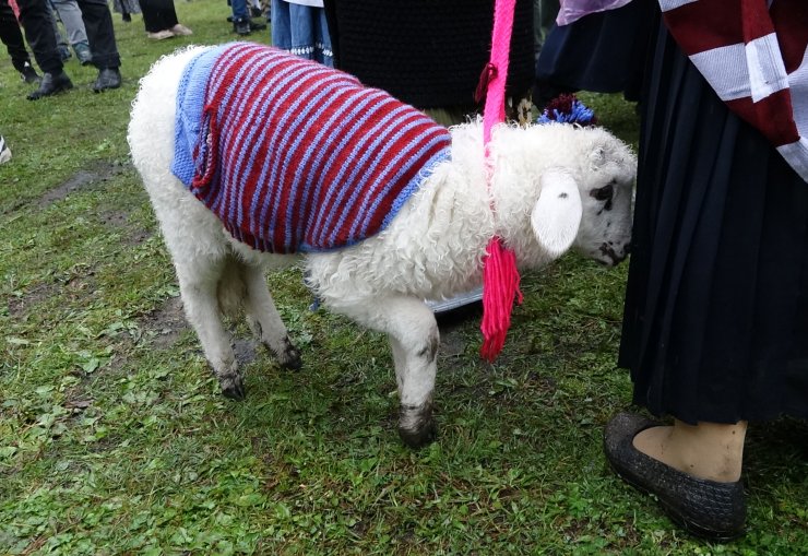 Hayvanları süsleyip yola çıktılar