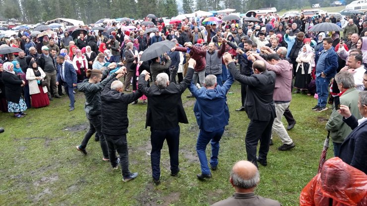 Hayvanları süsleyip yola çıktılar