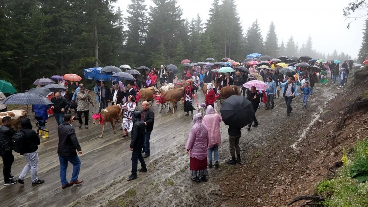 Hayvanları süsleyip yola çıktılar