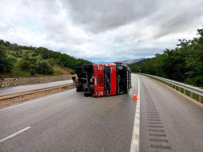 Kurban yüklü tır yoldan çıkarak devrildi