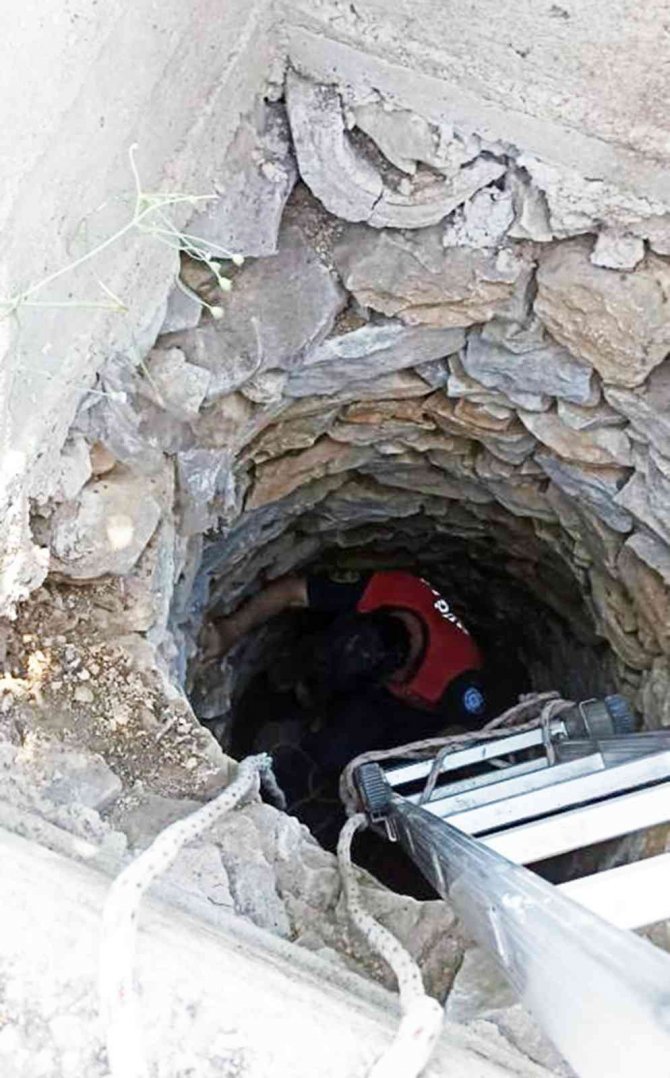 Kuyuya düşen Kuzu’yu itfaiye kurtardı