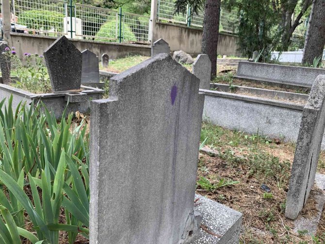 Mezarlıkta merak uyandıran görüntü