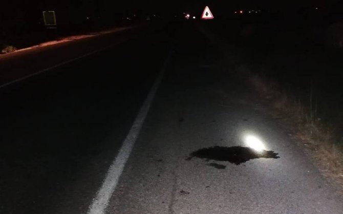 Otomobilin çarptığı yaşlı adam hayatını kaybetti