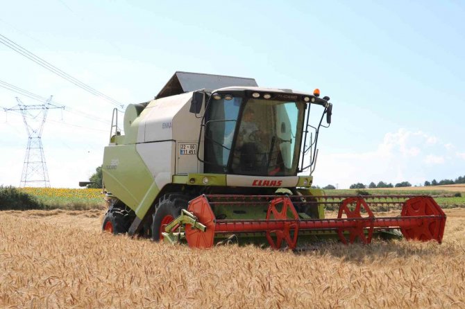 Stratejik konuma sahip buğdayda hasat dönemi