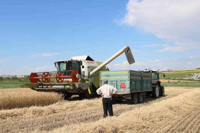 Stratejik konuma sahip buğdayda hasat dönemi