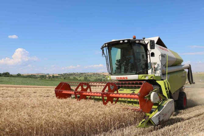 Stratejik konuma sahip buğdayda hasat dönemi