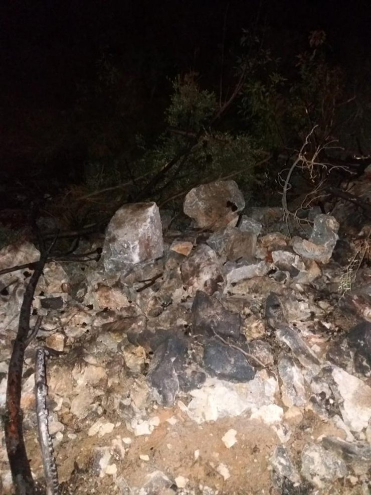 3 noktadaki orman yangınının şüphelisi tutuklandı