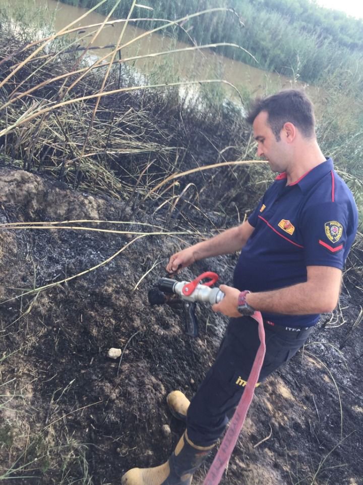 Alevlerin ortasında kalan 3 yavru köpekten 1’i öldü